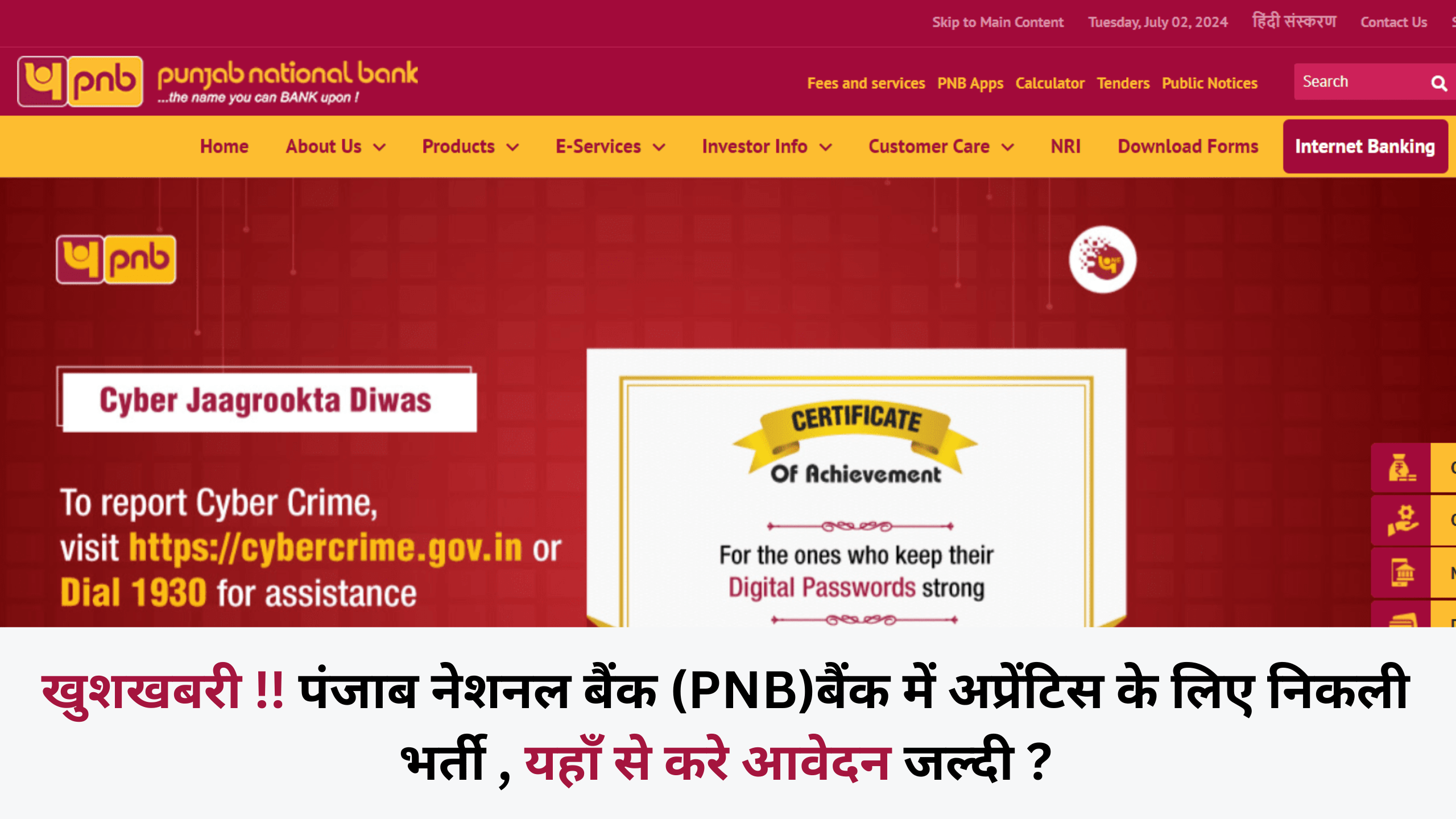 PNB Apprentice Recruitment 2024