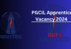 PGCIL Apprentice Vacancy 2024