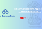 Indian Overseas Bank Apprentice Recruitment 2024