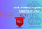 BOB Apprentice Recruitment 2025