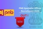 PNB Specialist Officer Recruitment 2025 - apply online link